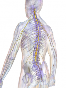 spinal cord injury